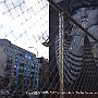 . : Fotos  NYC 12 29 Dic 2017
