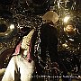 , : Fotos NYC 3 19 Dic 2017