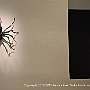 , : Fotos NYC 6  22 Dic 2017