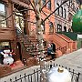 . : Fotos  NYC 12 29 Dic 2017