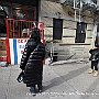 . : Fotos  NYC 12 29 Dic 2017