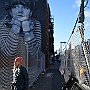 . : Fotos  NYC 12 29 Dic 2017