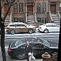 . : Fotos NYC 13 30 Dic 2017