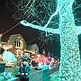 . : Fotos NYC 2 18 Dic 2017