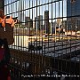 . : Fotos NYC 3 19 Dic 2017