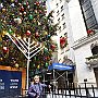 . : Fotos NYC 5 21 Dic 2017