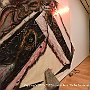 . : Fotos NYC 6  23 Dic 2017