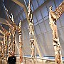 . : Fotos NYC 7 23 Dic 2017