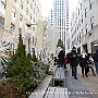 . : Fotos NYC 8 25 Dic 2017
