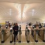 . : Fotos NYC 8 25 Dic 2017