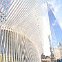 . : Fotos NYC 8 25 Dic 2017