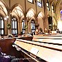 . : Fotos NYC 8 25 Dic 2017