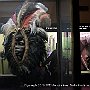 . : Fotos NYC 9 26 Dic 2017