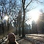 . : Fotos NYC 9 26 Dic 2017