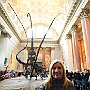 . : Fotos NYC 9 26 Dic 2017