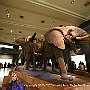 . : Fotos NYC 9 26 Dic 2017