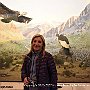 . : Fotos NYC 9 26 Dic 2017