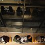 . : Fotos NYC 6  22 Dic 2017