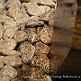 . : Fotos NYC 7 23 Dic 2017