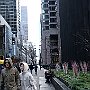 . : Fotos NYC 8 25 Dic 2017